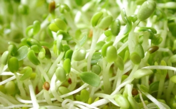 6 lợi ích không ngờ của Vitamin E